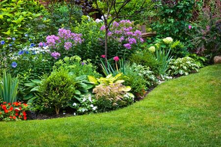 Embracing Sustainability: Creating Eco-Friendly Garden Designs Thumbnail