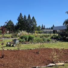 Complete-Landscape-Raised-Garden-Transformation 0