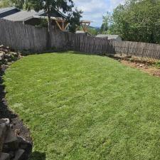 Cool-Session-Perennial-Ryegrass-Installation 1