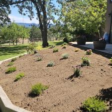 Garden-Bed-Maintenance-Installation 1