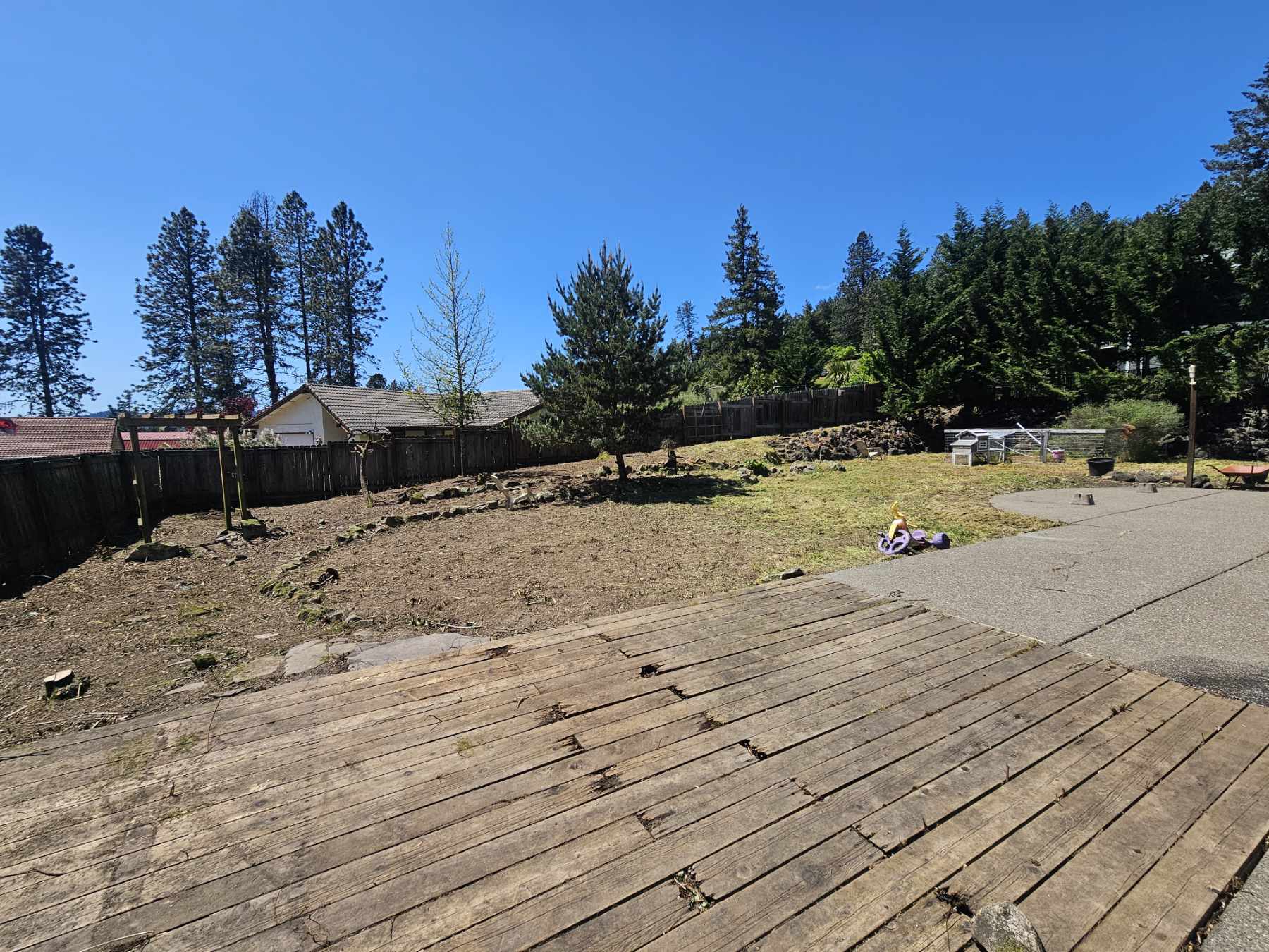 Sutherlin Monster Blackberry Cleanup  