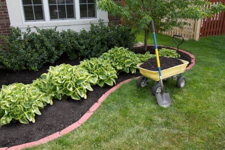 Lawn Fertilizing