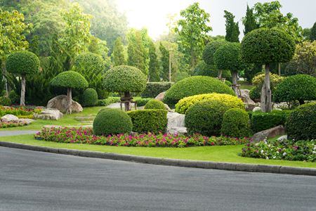 Shrub Trimming