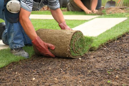 Sod Installation Thumbnail